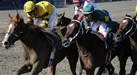 Backtalk takes the Sanford