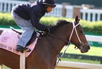 Seeking the Title working for the 2010 Kentucky Oaks