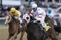 04 November 2010: Eldaafer and John Velazquez win the Breeders' Cup Marathon at Churchill Downs, Louisville, KY. 