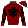 Cowgirl1234 Silks