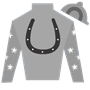 nicksteed Silks