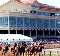Retama Park