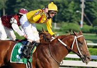 Curlin and Robby Albarado capture the 2008 Woodward over Past the Point at Saratoga