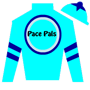 pacepal_pete Silks