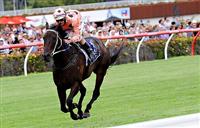 Black Caviar