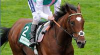 Frankel