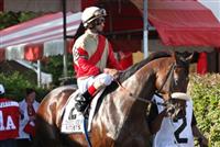 dk paddock