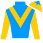 housebuster Silks