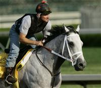 Storm'n @ Churchill Downs