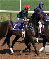 Storm Flag Flying with Jerry Bailey 2004 Breeders Cup