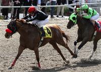 Mambo Galliano Tops Fair Grounds Thanksgiving Feature