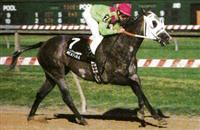 Meafara while racing