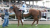 August 20, 2011.Sweet Swap ridden by Joel Rosario wins the 6th at Del Mar Thoroughbred Club, Del Mar, CA 