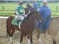 Afleet Alex