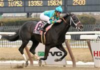 I Want Revenge wins Gotham Stakes