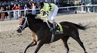 Quality Road wins the Amsterdam