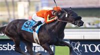 December 31, 2011. Teddy's Promise and Victor Espinoza win the La Brea Stakes(GI) at Santa Anita Park in Arcadia, CA. 