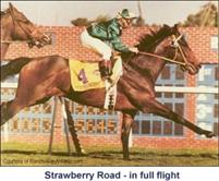 Racing In Australia