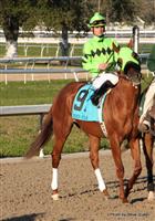Stay Put ridden by Jamie Theriot in the Risen Star