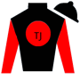 stakefilly Silks
