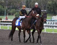 Papa Clem in post parade at Santa Anita Park.