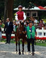 Criticism, Saratoga 2009