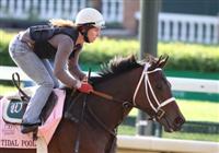 Tidal Pool, Kentucky Oaks 136 contender at Churchill Downs. 04.19.2010 