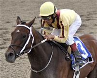 Kensei runs away with the 2009 Dwyer