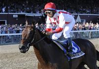 Worstcasescenario takes the 2009 Adirondack at Saratoga