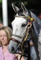 Miss Isella prior to the 2009 Personal Ensign