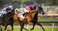 Ellafitz, with jockey Martin Garcia aboard wins the 2012 Santa Maria Stakes at Santa Anita Park in Arcadia California on February 18, 2012. 