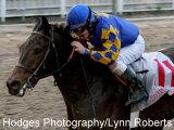 Ron The Greek flies late to take the 2010 Lecompte Stakes at the Fair Grounds