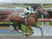 GP win on 1/3/2010