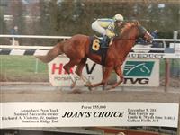joans choice