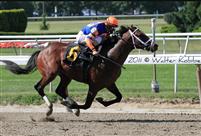 Zow breaks his maiden