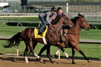 Chocolate Candy works out at Churchill Downs before the Kentucky Derby