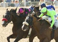 A.P. Xcellent runs his heart out against Lava Man