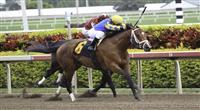 Algorithms wins at Gulfstream Park Algorithms horse