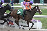 Summer Applause (no. 5), ridden by Robby Albarado and trained by Bret Calhoun, wins the 31st running of the grade 3 Rachel Alexandra Stakes for three year old fillies on February 25, 2012 at Fair Grounds Race Course in New Orleans, Louisiana. (Bob Mayberger/Eclipse Sportswire) 