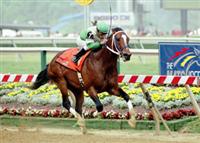 Maryland Breeder's Cup Handicap