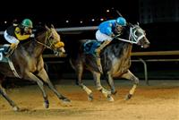 Winning the Wild & Wonderful Stakes