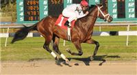 Rule wires the 2010 Sam Davis at Tampa Bay Downs
