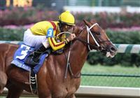 Kantharos with Robby Albarado up wins the 109th running of The Bashford Manor (grIII) at Churchill Downs. 07.03.2010 