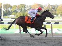 Economic Summit breaks maiden at Belmont Park (10-07-10). 