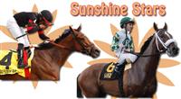 Sunshine Millions stars 