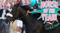 Horse of the Year Zenyatta