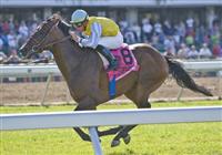 3-7-10: Chinchon (IRE), Garrett Gomez up, wins the Grade I 2010 Betfair TVG United Nations Stakes. 