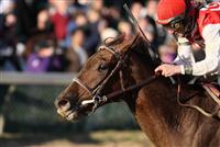 Sassy Image captures the 2009 Golden Rod Stakes