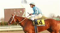21 11 2009: Haynesfield with Ramon Dominguez are easy winners in the 65th running of theGrade III Discovery Handicap at Aqueduct Racetrack, Jamaica, NY. Trained by Steve Asmussen. Owned by Turtle Bird Stable.
