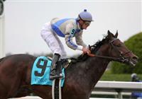 31 October 2009 The Fayette .Blame and Jamie Theriot win the 2009 running of the Fayette (GRII) to end the fall Keeneland meet.